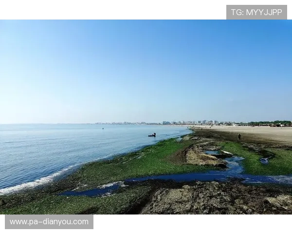海滨国际：开启梦想生活的理想海滨度假胜地